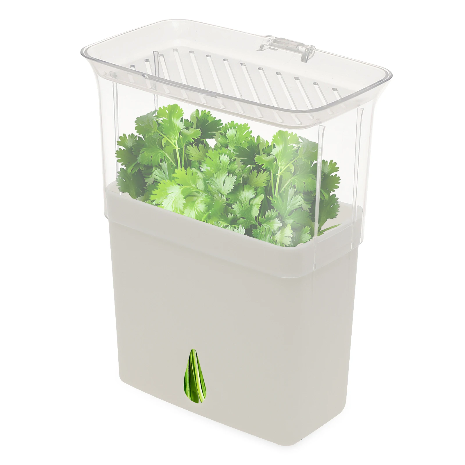 Herb Keeper Container - Прозрачный контейнер для хранения трав, герметичный