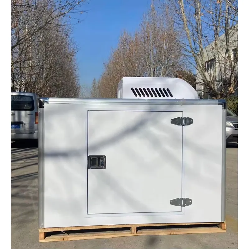Food Storage Freezer - Горячая распродажа: Трехколесный электрический рефрижератор для