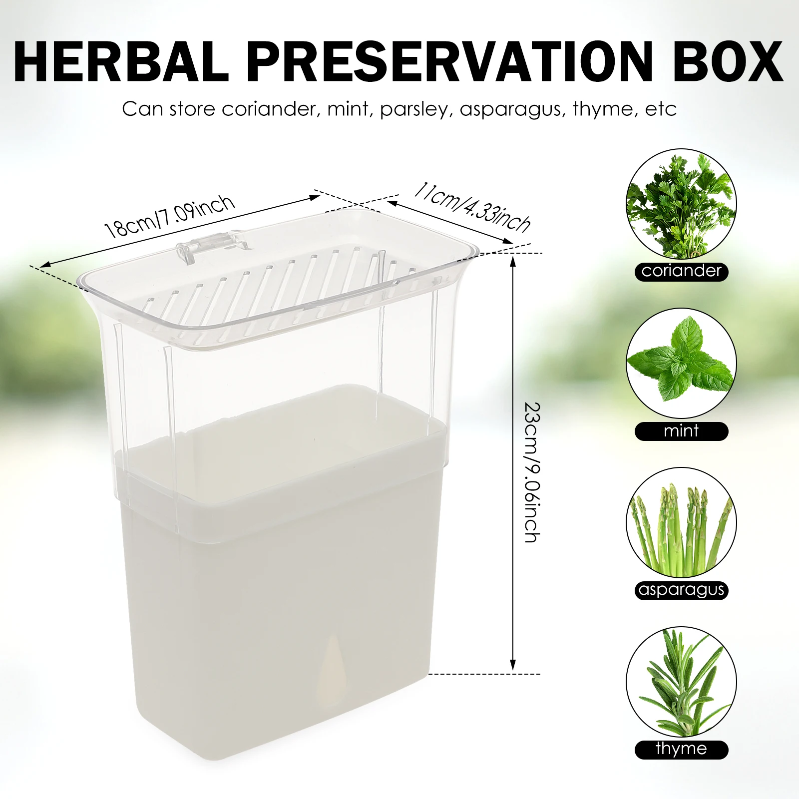 Прозрачный контейнер для хране – обзор и цена Herb Keeper Container