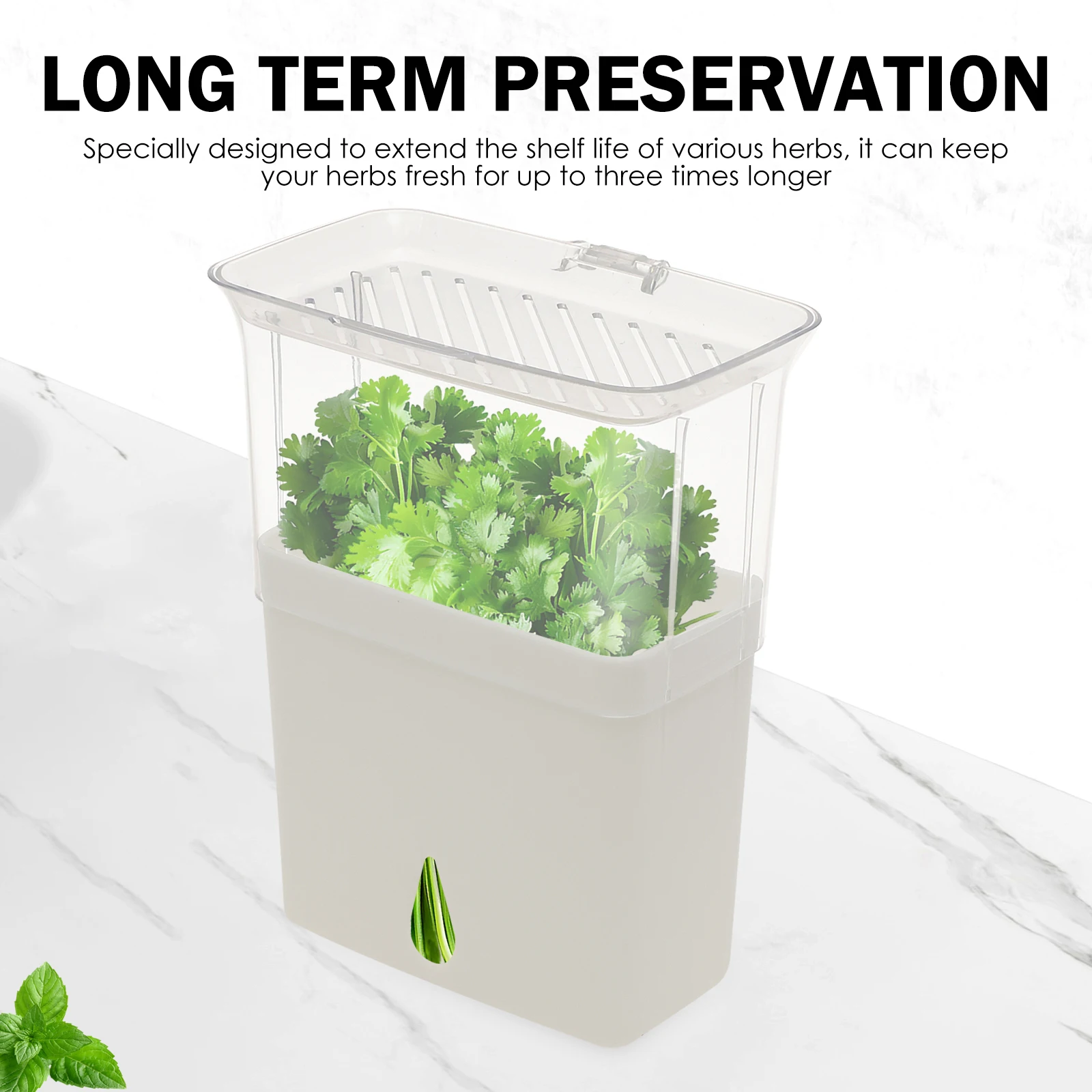 Прозрачный контейнер для хране – обзор и цена Herb Keeper Container