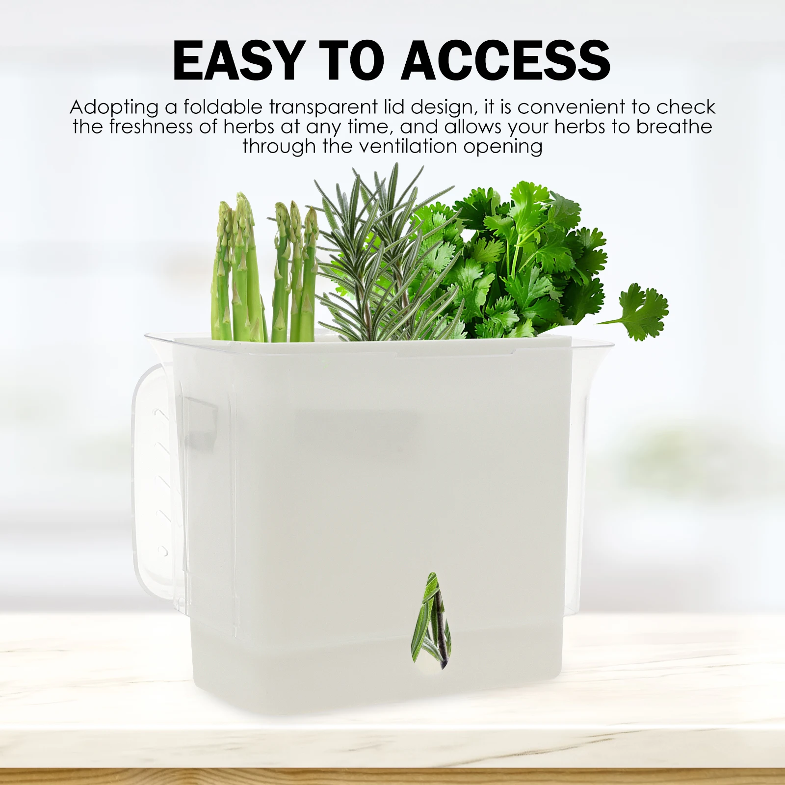 Прозрачный контейнер для хране – обзор и цена Herb Keeper Container