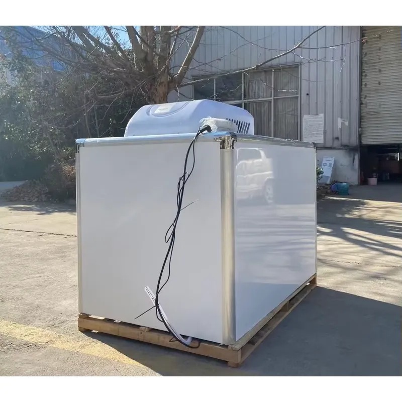 Горячая распродажа: Трехколесн – обзор и цена Food Storage Freezer
